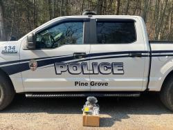Pine Grove Borough Police Department (Pennsylvania)